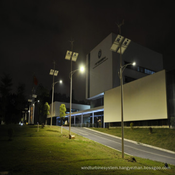 Wind and Solar Garden Lamps